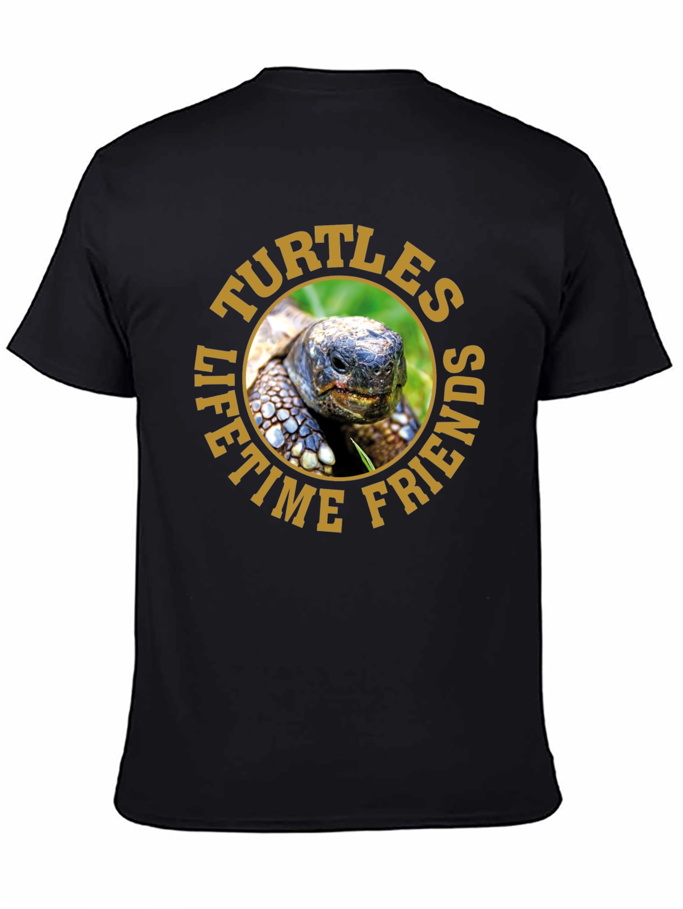 Turtles Lifetime Friends Graphic T-Shirt
