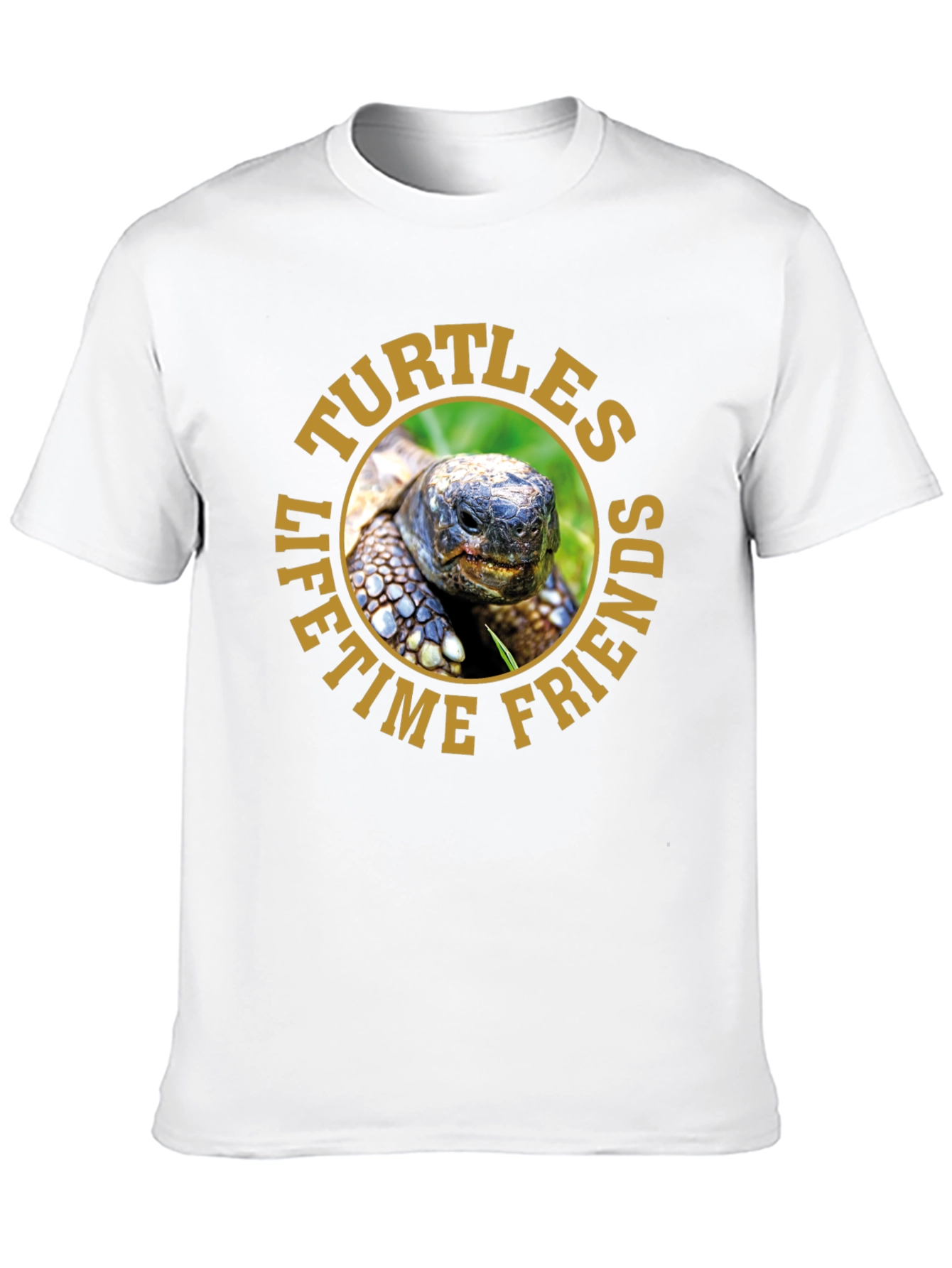 Turtles Lifetime Friends Graphic T-Shirt
