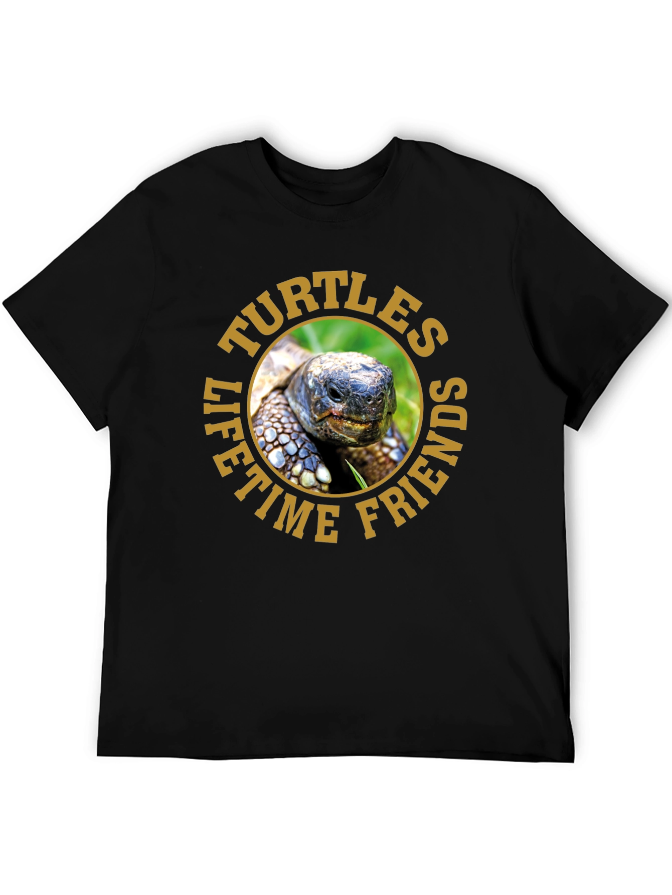 Turtles Lifetime Friends Graphic T-Shirt