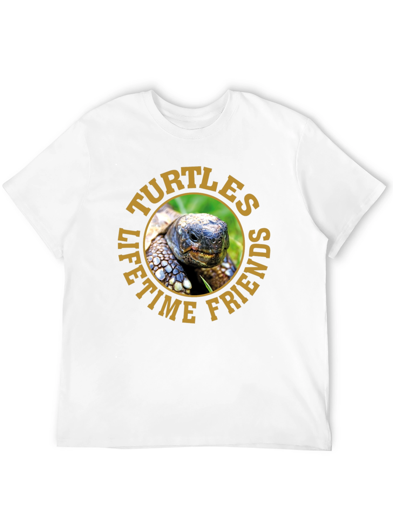 Turtles Lifetime Friends Graphic T-Shirt
