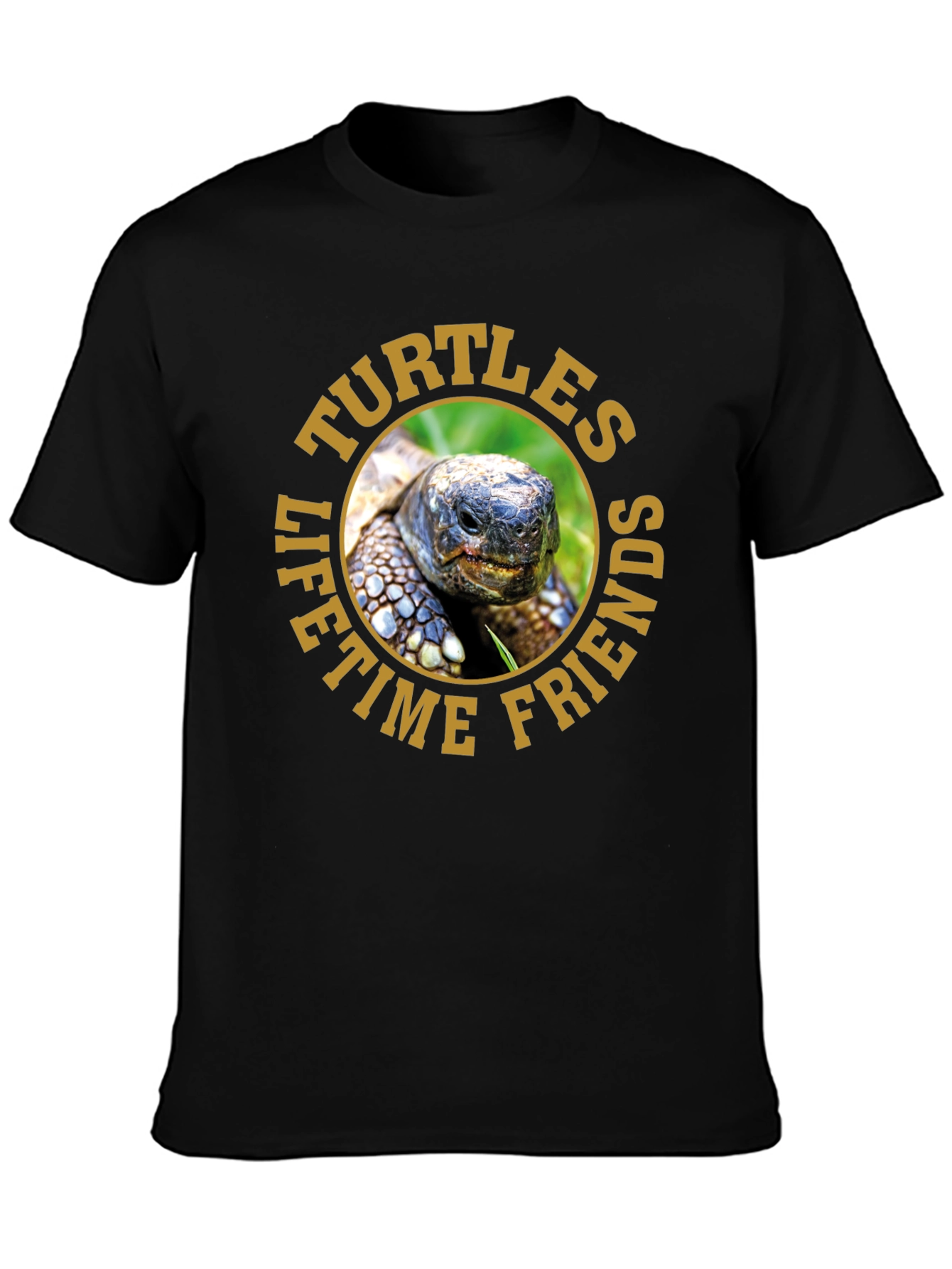 Turtles Lifetime Friends Graphic T-Shirt