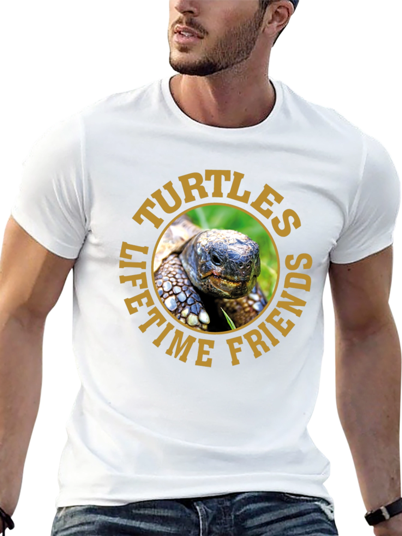 Turtles Lifetime Friends Graphic T-Shirt