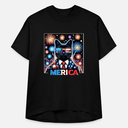 Fireworks Patriotic Black Cat