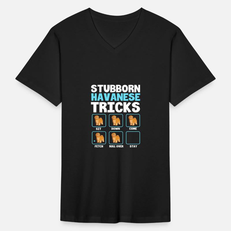 Havanese Tricks Pet Dog Training Funny Havanese