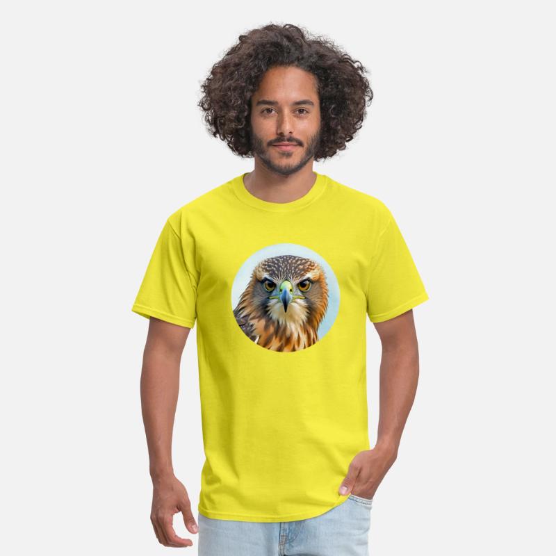 Hawk stare regal bird of prey birding bird watcher