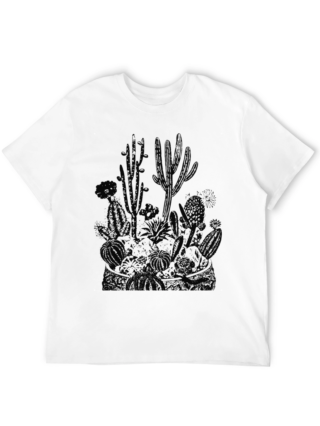 Desert Cactus Graphic Print T-Shirt