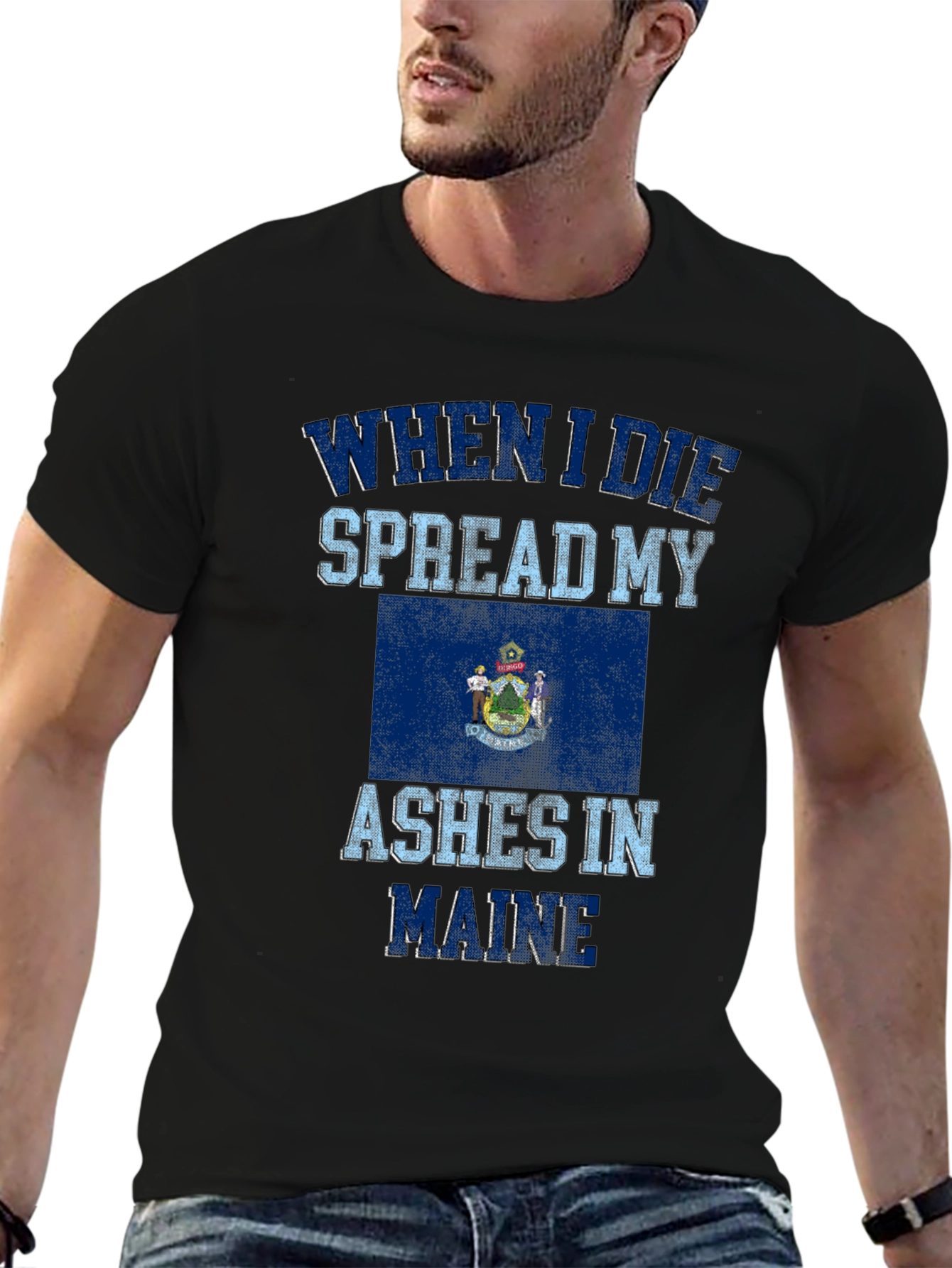 Maine State Flag Novelty Graphic T-Shirt