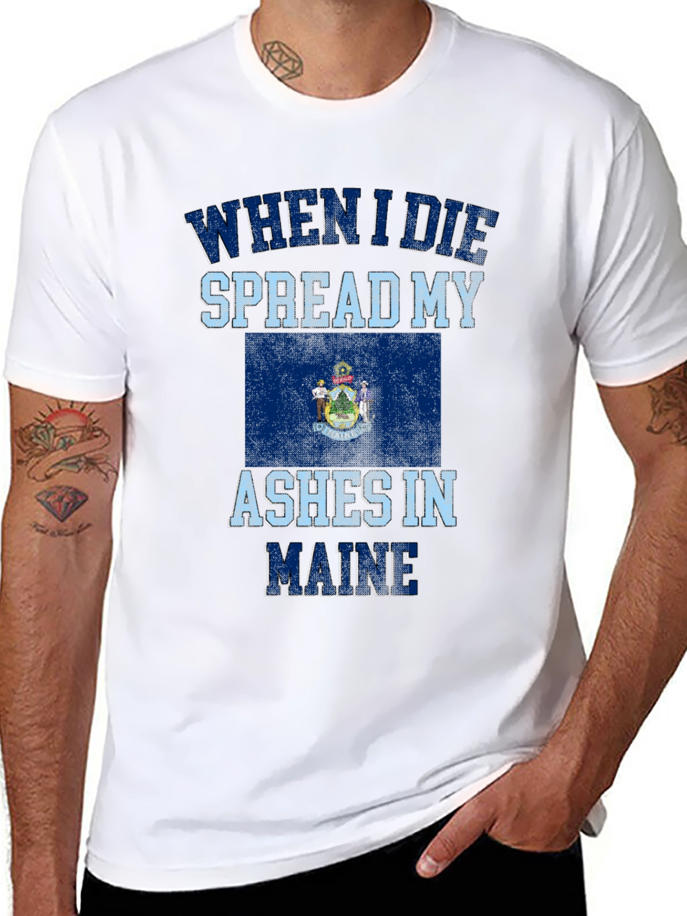 Maine State Flag Novelty Graphic T-Shirt
