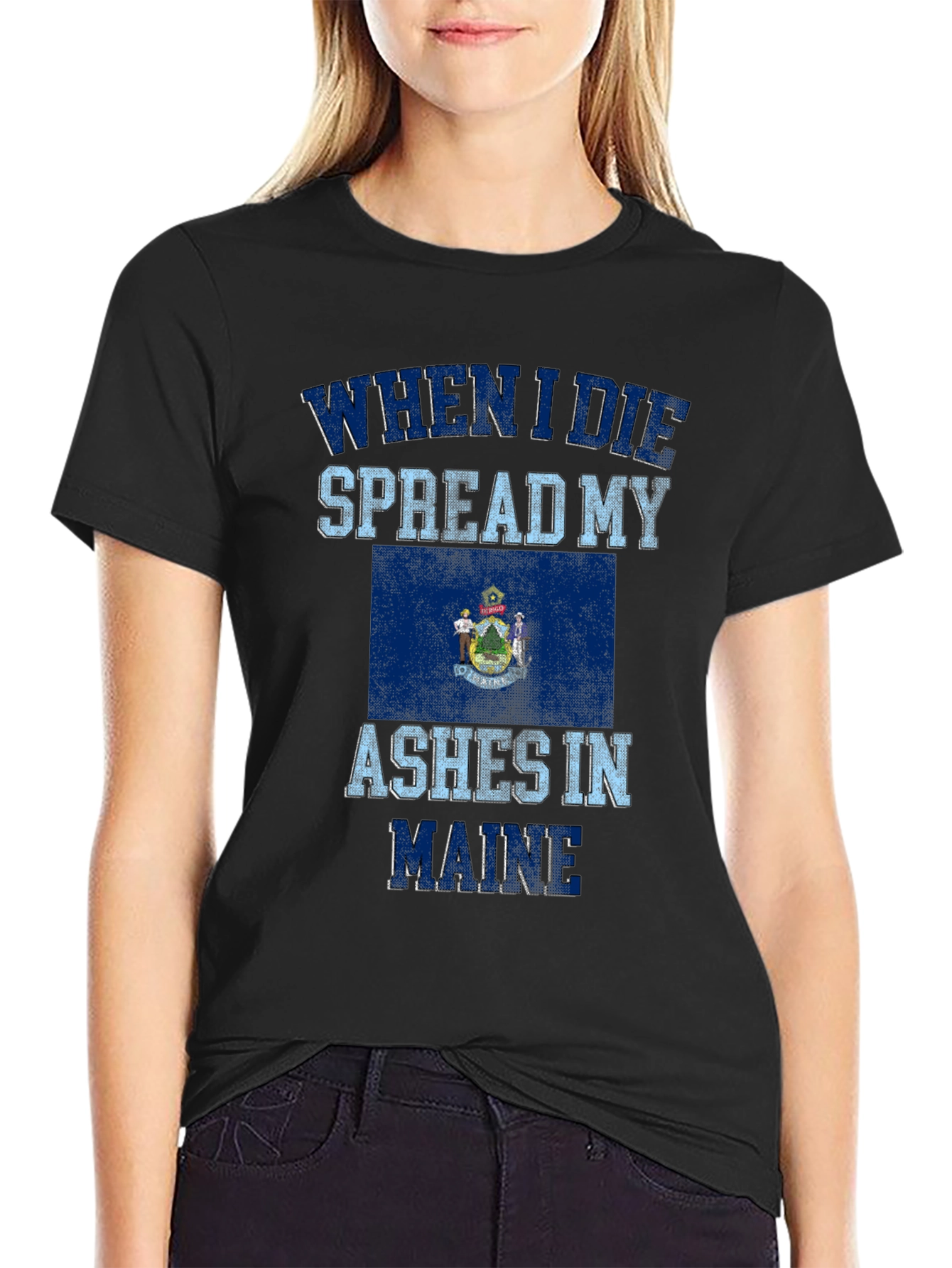 Maine State Flag Novelty Graphic T-Shirt