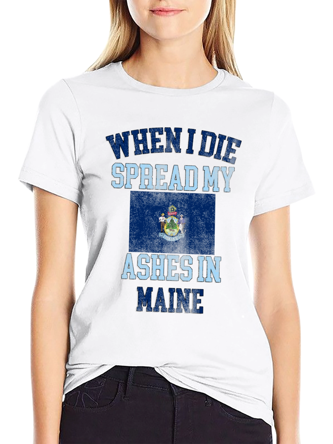 Maine State Flag Novelty Graphic T-Shirt