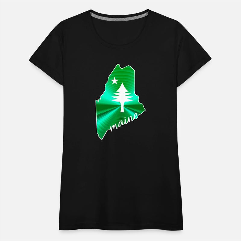 Pine tree and star 1901 flag of Maine State