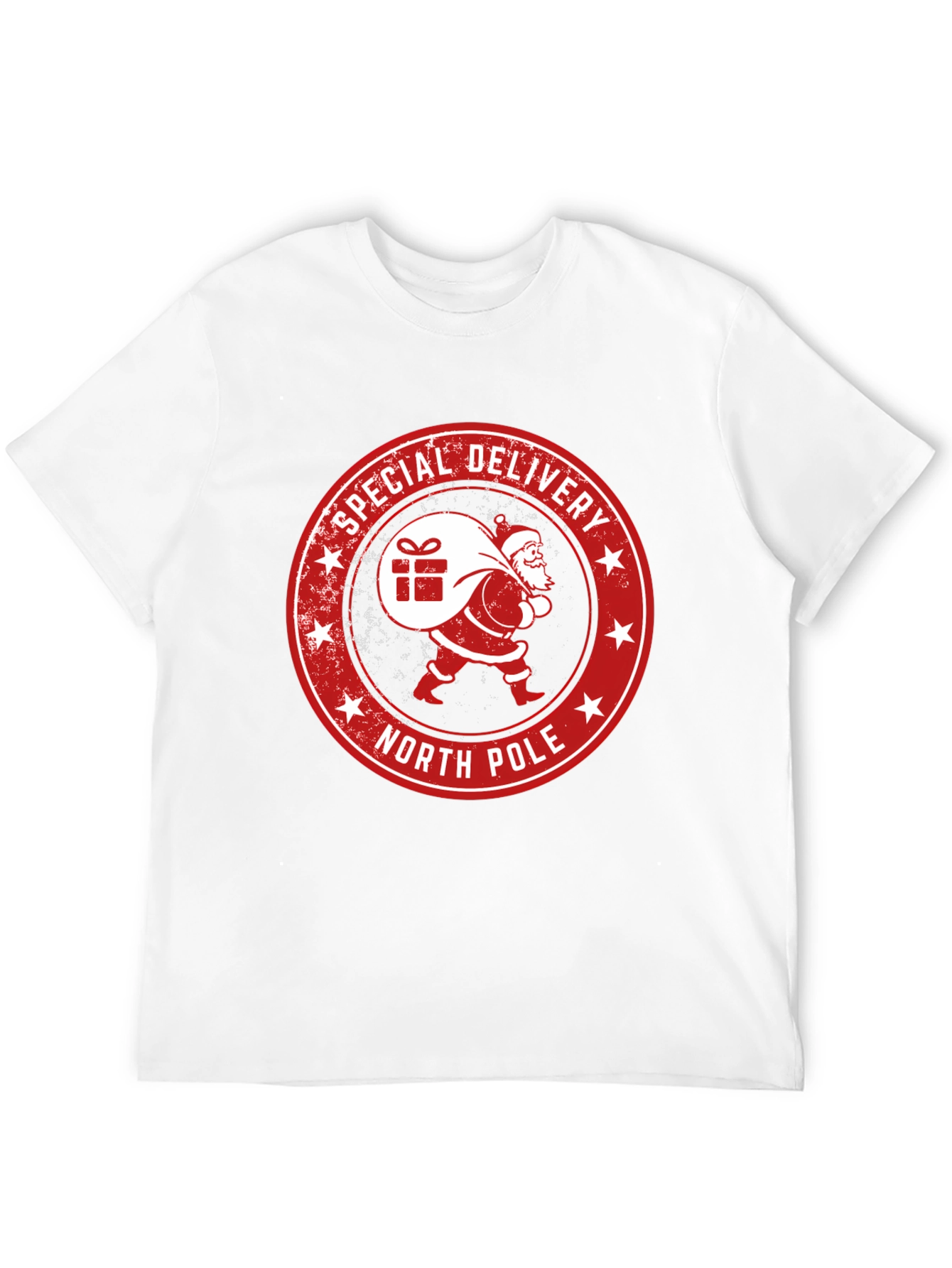 North Pole Special Delivery Santa Graphic Tee