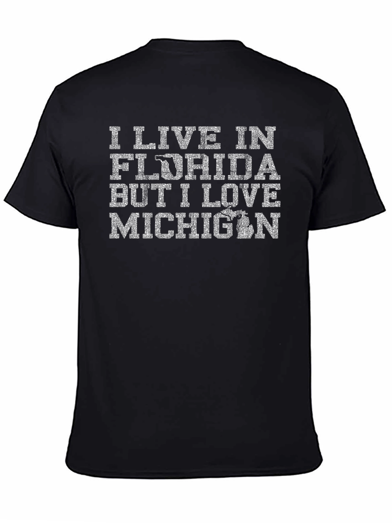 Florida Michigan Novelty Graphic Tee