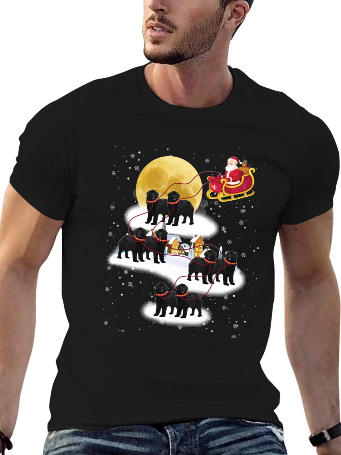 Christmas Dog Sled T-Shirt