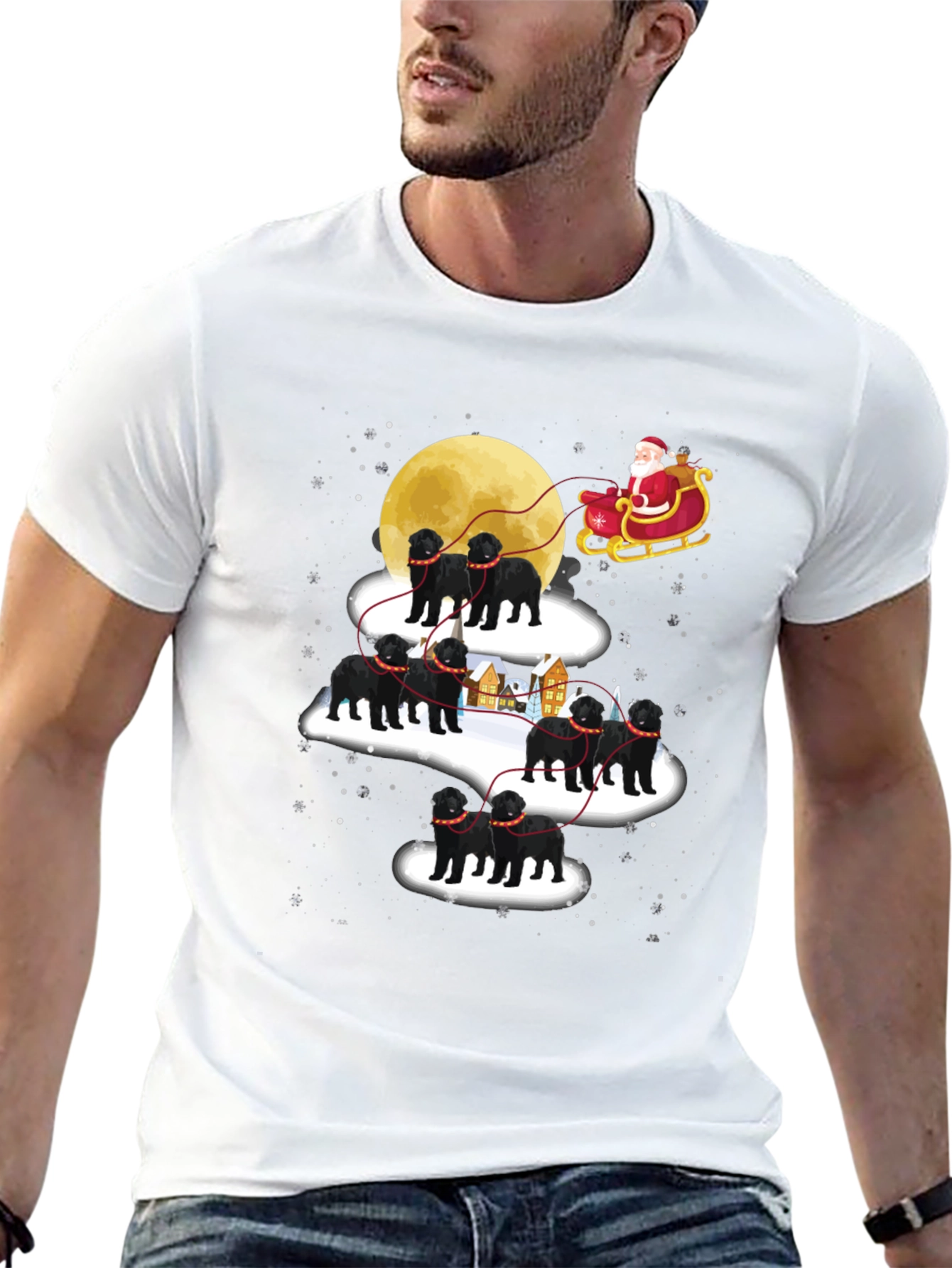 Christmas Dog Sled T-Shirt