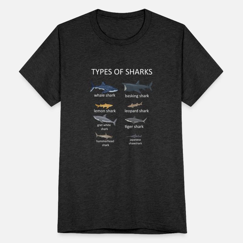 Types of Sharks Marine Biology Sea Creatures