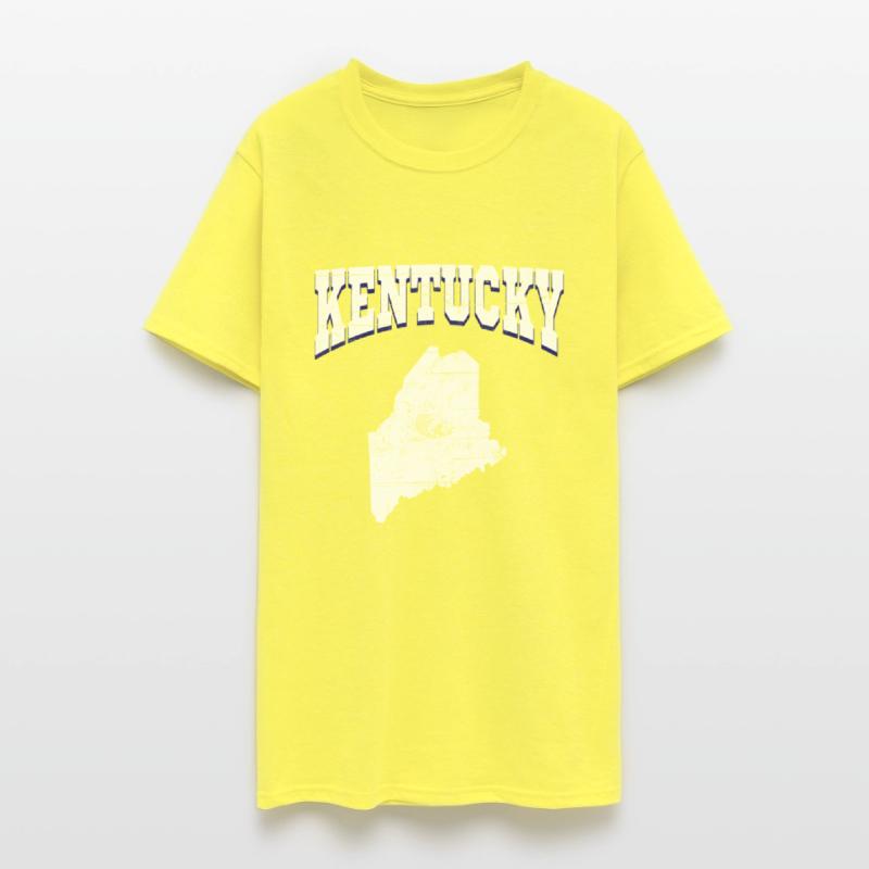 US America State Flag Land Map Maine