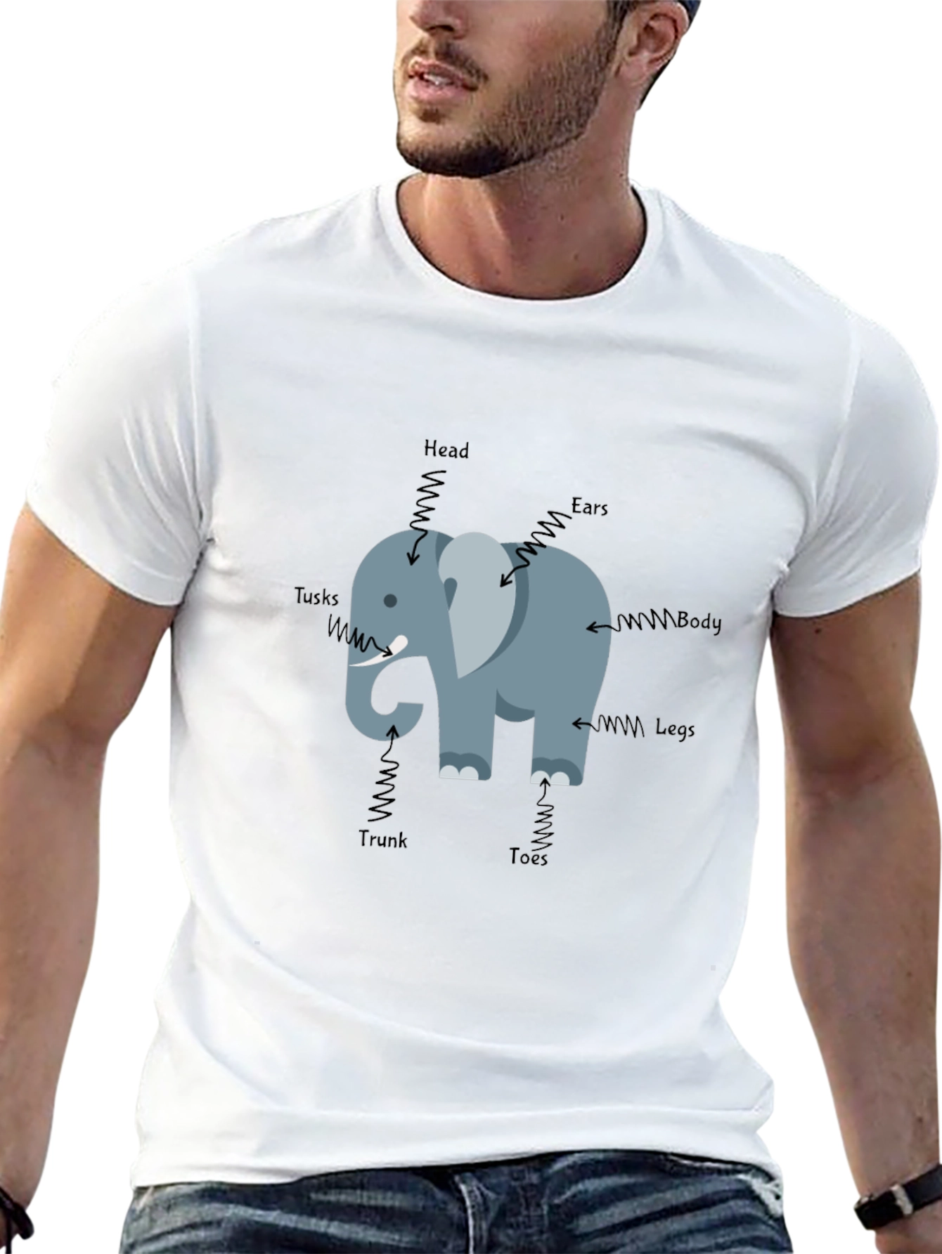 Elephant Anatomy Mens Black T-Shirt