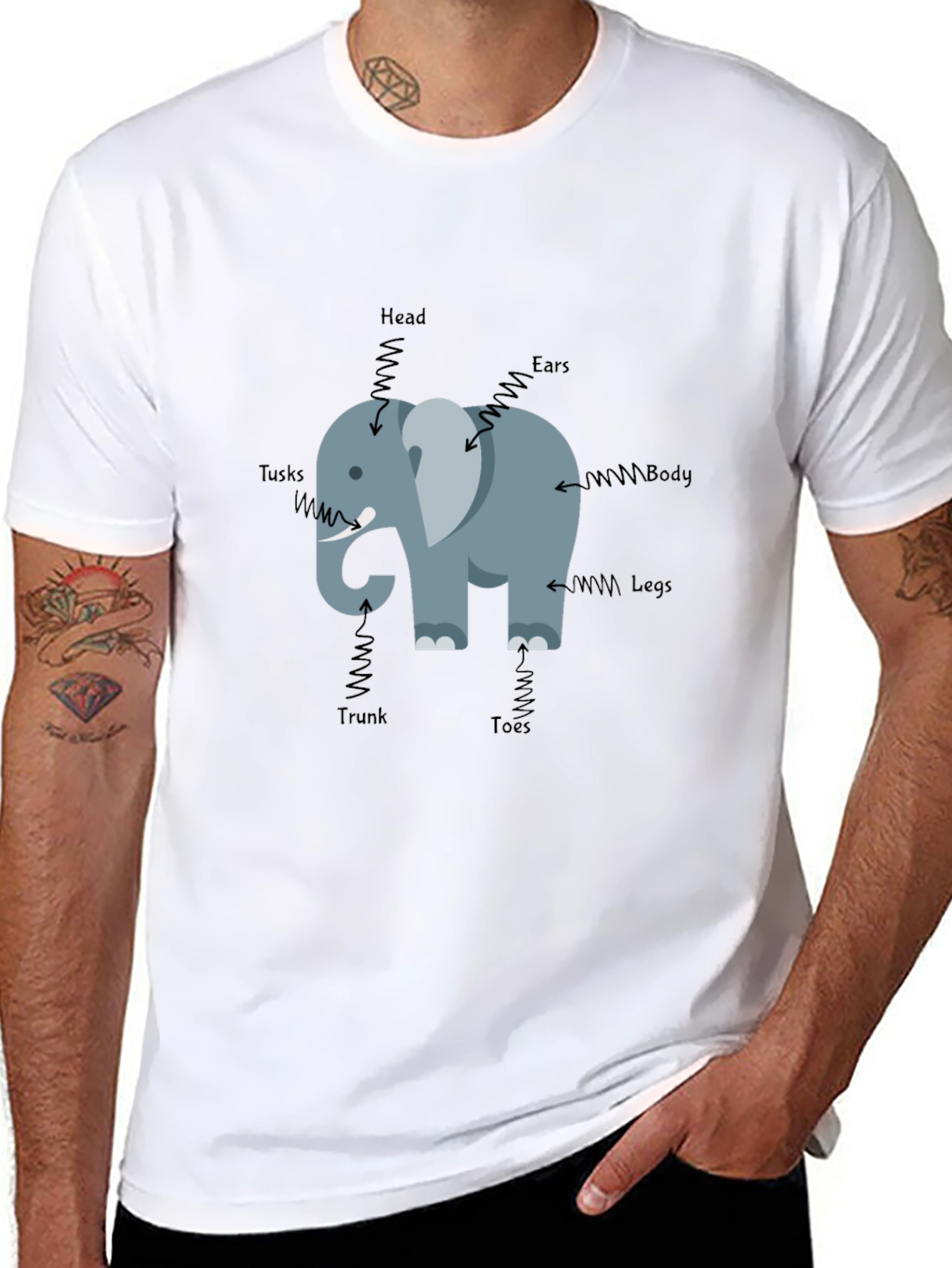 Elephant Anatomy Mens Black T-Shirt