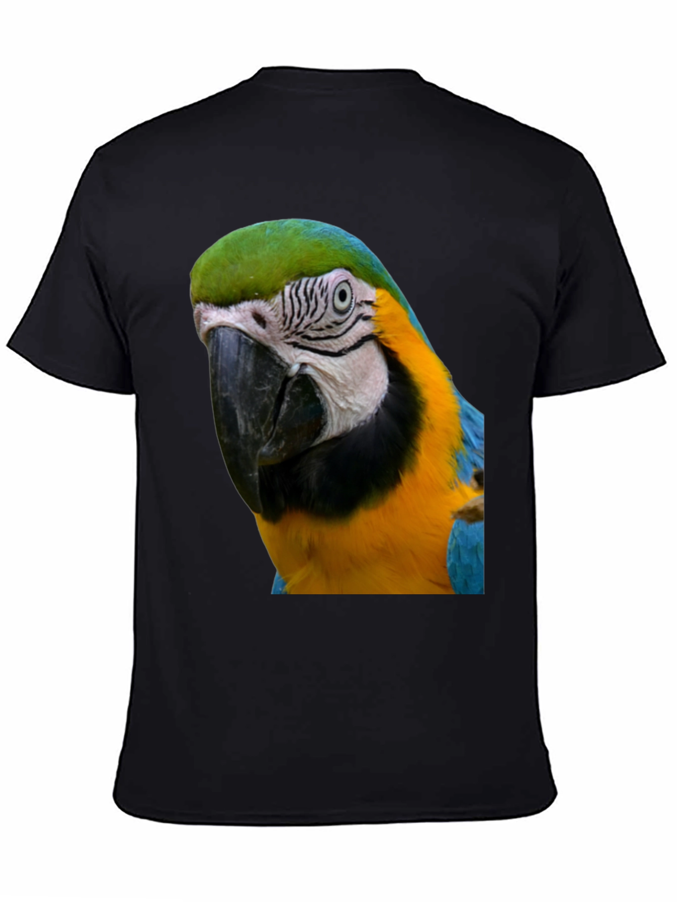 Parrot Graphic T-Shirt - Unique Bird Design
