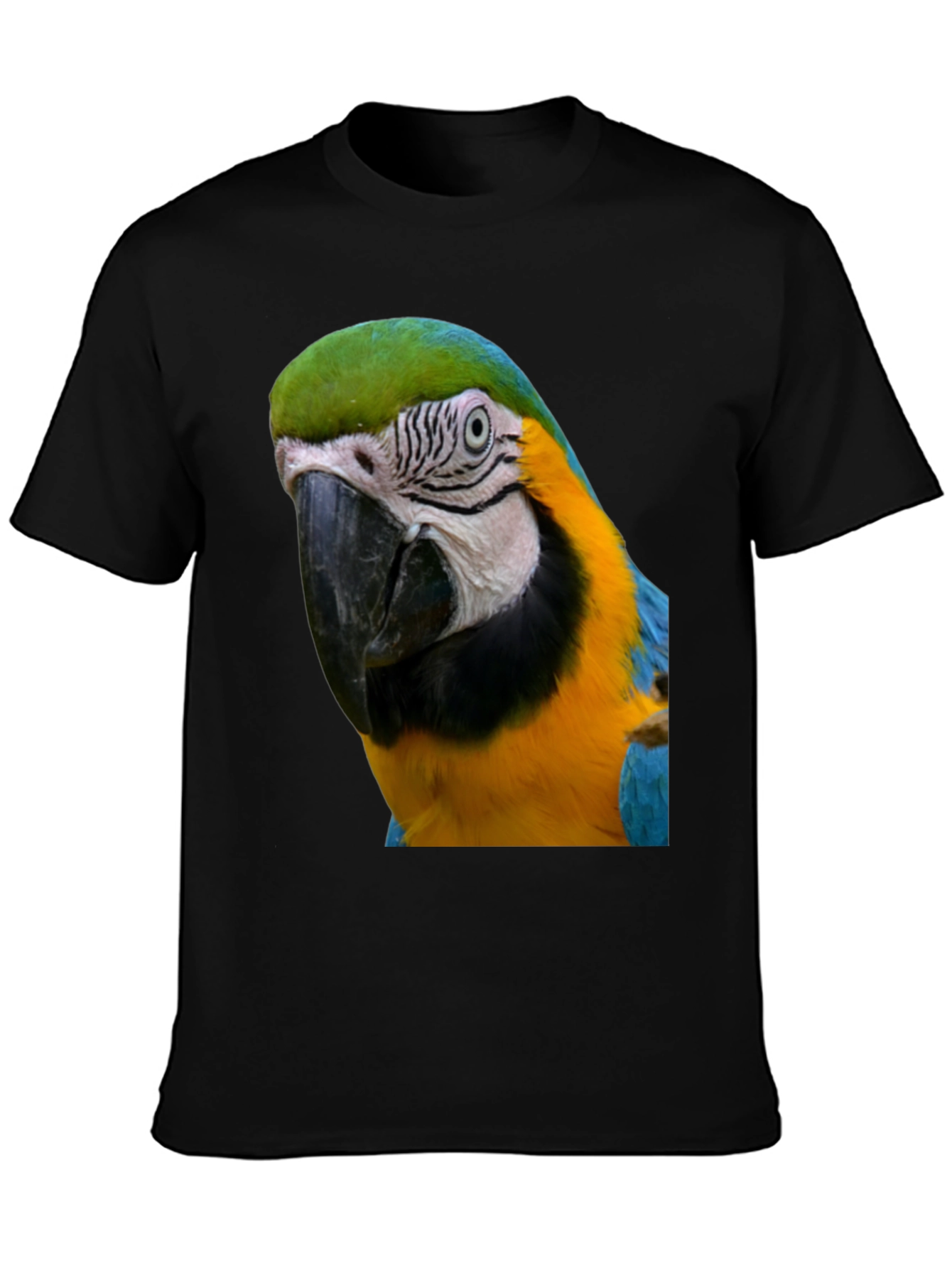 Parrot Graphic T-Shirt - Unique Bird Design