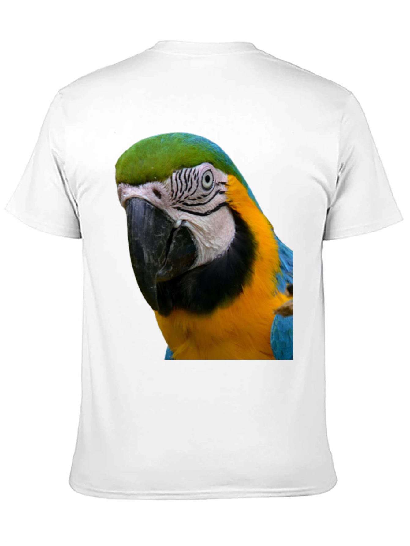 Parrot Graphic T-Shirt - Unique Bird Design