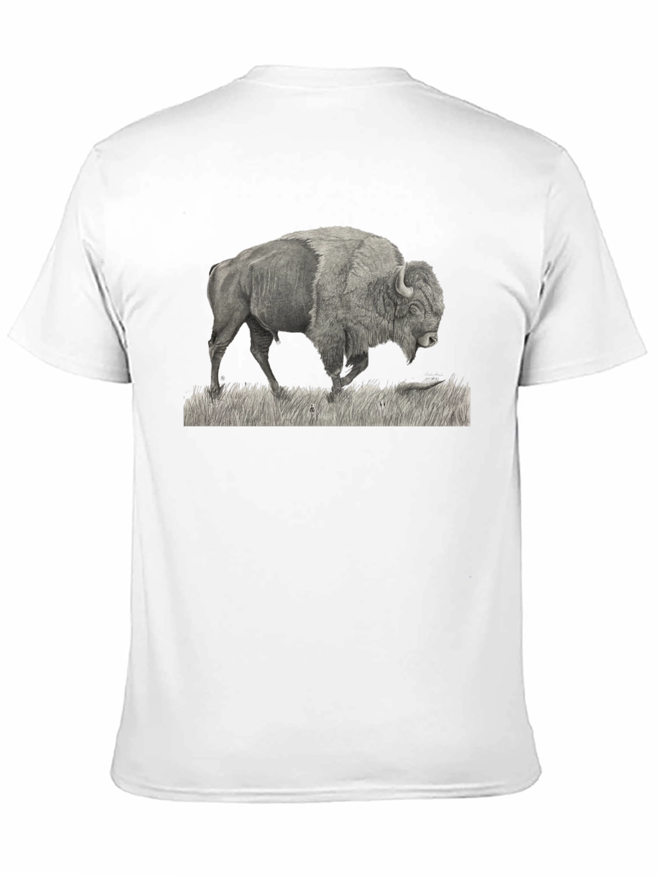 Buffalo Graphic Print Black T-Shirt